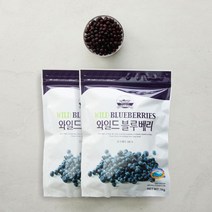 냉동 와일드 블루베리 1kg 캐나다산 X 2개 [베리필드], 없음