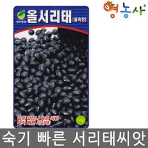 서리태콩 씨앗 (50g) 조중생종 서리태씨앗 검은콩씨앗, 올서리태