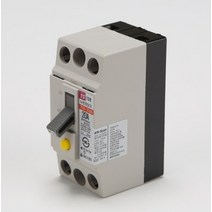 누전차단기TCE 32AH 2P 20A 2.5KA 고감도 5개묵음