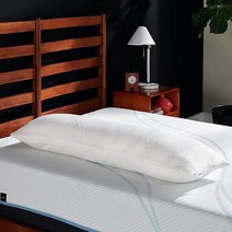 템퍼페딕(TempurPedic) TempurPedic 템퍼 바디 베개 퀸, Pillow