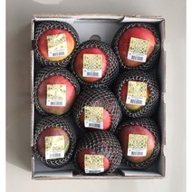 [산지에서바로] 당도선별 애플망고 프리미엄 선물세트 항공수입, 1박스, 애플망고 4kg 내외(7-12과)