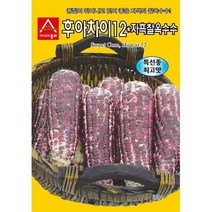 (씨앗) 자흑찰옥수수 - 옥수수 종자 씨앗 -소포장 텃밭용 30g