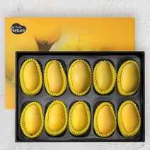 [후레쉬데이] 프리미엄 태국망고 10과 선물세트 (개당 300g 내외)