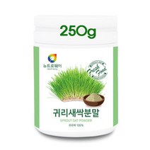 귀리새싹분말250g 국산 귀리 새싹 분말 어린잎 귀리싹100% 귀리가루 베타글루칸 체지방관리 씨앗분말 효능