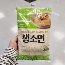 풀무원 생소면 600G X 2개, 아이스보냉백포장