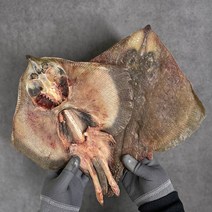 국산 남해안 손질 반건조 간재미 손질가오리 제철 27-35cm내외 해풍건조 찜용, 2미