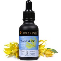 잠잘오는향 숙면 아로마 에센셜오일 디퓨저 바디 케어용 소울플라워 라벤 에센셜 오일 남성 여성용 1 온즈 Ecocert Cosmos, 일랑일랑, 1 Fl Oz(1팩)