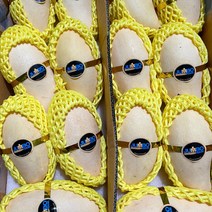 태국망고 6과 9과 5kg 선물세트, 1박스, 태국망고 14과~16과 5kg (XL)