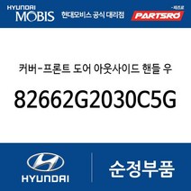 커버-프론트 도어 아웃사이드 핸들 우측 (82662G2030C5G) 아이오닉 전기차 19
