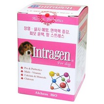 인트라젠 영양제 200정 강아지영양제 _ 23030301EA, 쿠팡윤쓰은선 본상품선택