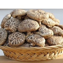 구례 지리산 표고버섯 200g 건표고버섯 슬라이스 절편 버섯가루, 1개, 향고 200g