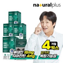 내츄럴플러스 차태현 루테인 지아잔틴 더블업 16:4 30캡슐 4박스, 1세트