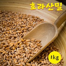 호라산밀 1kg 호라산 쌀 100% 효능, 1팩