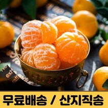 제주 감귤 제주도 귤 밀감 타이벡 노지감귤 조생 극조생 3kg 5kg 10kg 햇 프리미엄 고당도 감귤농장 산지직송 택배, 노지감귤 10kg, 로얄과 (2s-M)