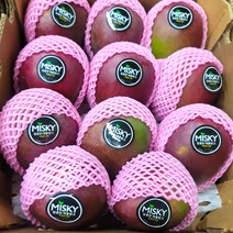 페루 애플망고 대과, 1box, 4-6입 2kg