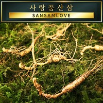 사랑품산삼 산양산삼 산양삼 장뇌삼 8-20년근 자연산 모양 산삼사랑, 07번_산양삼 13년근 4뿌리
