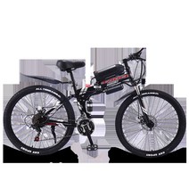 부릉이 자토바이 등하원 배달용 고성능 출퇴근 홈쇼핑 전기자전거, 블랙 스포크 휠 13AH