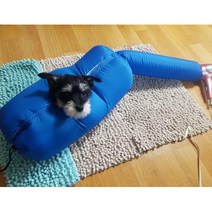 강아지털말리는기계 애견건조기 블루 강아지빗질, M