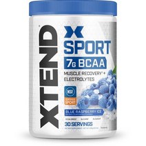 싸이베이션 엑스텐드 BCAA XTEND 블루라즈베리 아이스 (345g), 1개, 345g