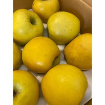 JJ에 시나노골드 사과 5kg 맛나는 사과 꿀사과 5kg, 사과 정품 꼬마과 25-28과 5kg