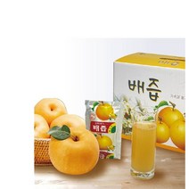 생생건강농원 생생 배즙 110ml 50개입 1박스, 50포