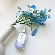 서서히 서서히 그러나 반드시 도서+북퍼퓸 세트