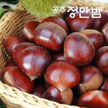 푸드마인 [푸드마인]23년 공주밤 정안 알밤 2kg(특품), 단일옵션