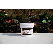 다자 1kg(북촌 단청 무기세라믹안료)