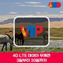 VIP 몽골 4G LTE 포켓 와이파이 매일 1GB 후 저속 국내공항 수령, 매일 1GB 후 저속 1일/대구공항