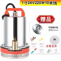 전동차 V24V 직류 잠복해 있다 O 펌프 48V60V 배터리 양수기 가정용 농용 선박용 우물이다 2523261583, 1인치 24V220W 10 미선 스텐