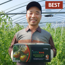 부산 대저 짭짤이 토마토 짭짜리 찰토마토 2.5kg, 대저 짭짤이토마토 2.5kg, 1개