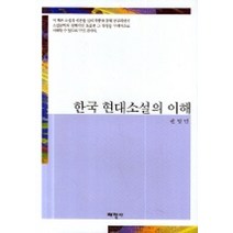 한국 현대소설의 이해, 태학사, 권영민 저
