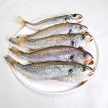 삼천포 용궁수산시장 반건조 생선 백조기 4~7미
