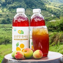 3년숙성 해밀농원 황매실청 매실원액 (1000ml X 2병), 황매실청 1000ml X 2병