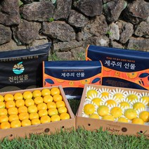 명품패키지 귤담원 과일 명절 선물세트 황금향, 1박스, 03.황금향 선물세트 4.5kg 중대과(14-21과)