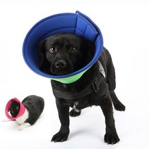 강아지넥카라 매쉬 중성화 목카라 긁기 방지 꼬깔, 블루 그린, 4호(목둘레28-34cm)