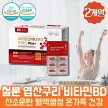 식약처인증 프리미엄 철분 엽산 비타민D 플러스 구리 비타민B 항산화 유해산소 세포보호 뼈에좋은 영양제 고함량비타민 바이타민 푸마르산 제일철 B컴플렉스 헤모글로빈 헴철 햄철