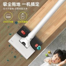 청소 용품 가성비 조용 청소기 델마 무선청소기 흡입기 가정용 초정음 건습 겸용, 01 일반 표준판