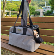강아지 기내가방 가벼운숄더백 모드니펫 애견캐리어 펫티켓 고양이 이동가방, 올뉴베이지(중국제작)