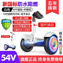 호버보드 10inch 팔걸이 킥보드 투휠보드 전동휠, C01-36V, T18-방수 방염 신국제-S11화이트(16무게