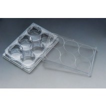 SPL Cell culture plate 6well (50EAbox) 세포배양 30006