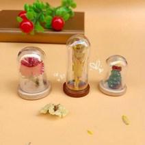 15X 미니 레인보우 현대 공예 유리 돔 커버 드라이 플라워 꽃병 나무 베이스 풍경 인형 모델 디스플레이 작품, 09 25x38mm NO3 Cap, 01 15pcs