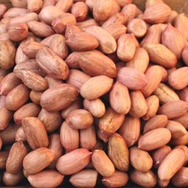생알땅콩 1.5kg 중국산 땅콩 생땅콩 알땅콩 볶음용 조림용 반찬용 쪽빛누리, 본품