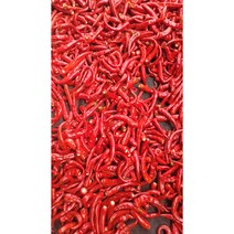 2023년 건조 햇고추, 1팩, 600g