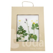 자연학습 미술놀이 식물 채집 액자 만들기 미술학원 창의미술