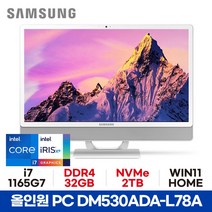 삼성 올인원PC DM530ADA-L78A - 32GB 2TB WIN11 HOME 사무용 가정용 공간활용 일체형PC ED