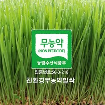 분당밀싹농장 밀싹1200g 밀싹