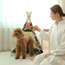 아기강아지장난감 삑삑이 바니린향 터그놀이 실타래장난감, 1개, 랜덤발송