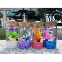 마리모키우기 국산 DIY 유리어항, 화이트, 토끼, 초록