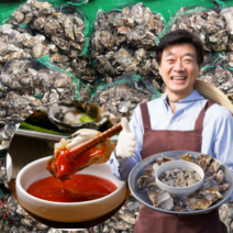 먹사부 통영 석화 굴 하프셀 석화 회 횟감 생굴 가리비 모듬 캠핑 찜 조개구이 세트 국내산 직거래 4kg 5키로 8kg 10kg, F. [세트] 석화[4kg]+뿔소라[3kg]